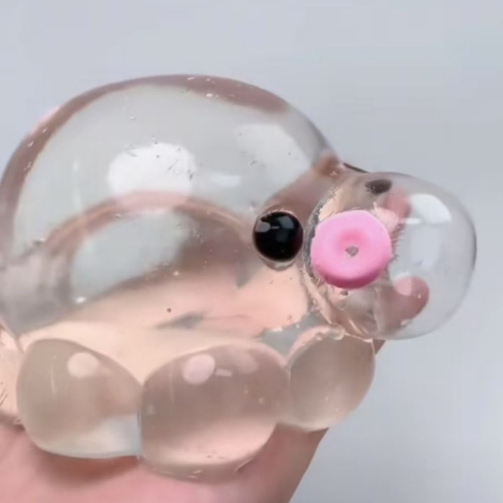 Clear Squishy Toy